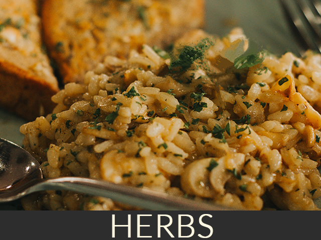 Buy Herbs UK
